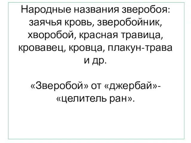 Народные названия зверобоя: заячья кровь, зверобойник, хворобой, красная травица, кровавец, кровца, плакун-трава