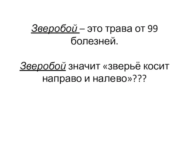 Зверобой – это трава от 99 болезней. Зверобой значит «зверьё косит направо и налево»???