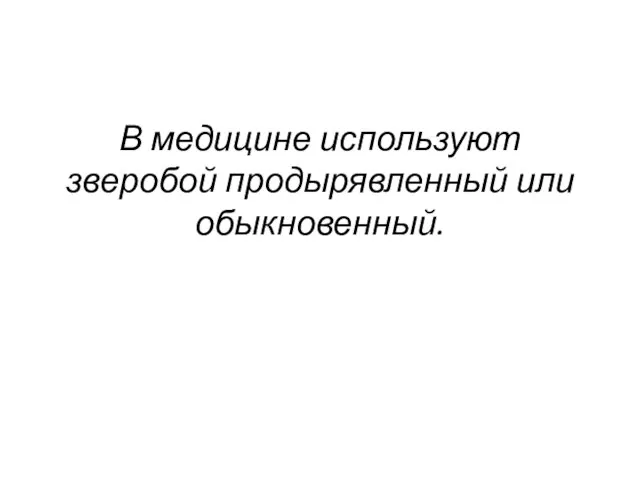 В медицине используют зверобой продырявленный или обыкновенный.