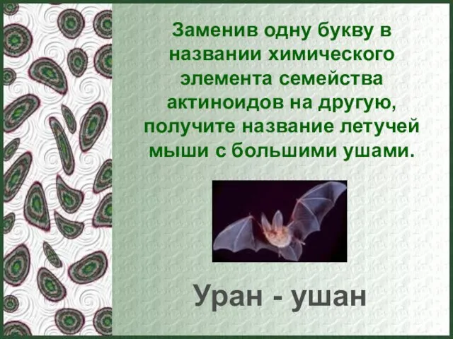 Заменив одну букву в названии химического элемента семейства актиноидов на другую, получите