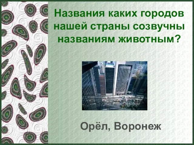 Названия каких городов нашей страны созвучны названиям животным? Орёл, Воронеж