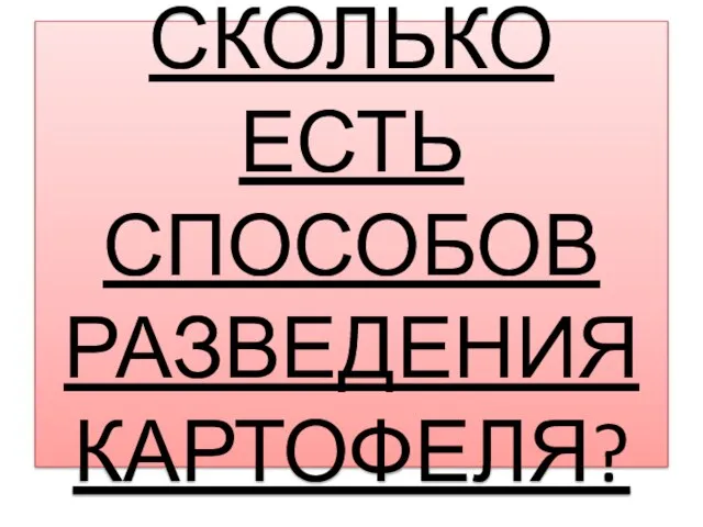 СКОЛЬКО ЕСТЬ СПОСОБОВ РАЗВЕДЕНИЯ КАРТОФЕЛЯ?