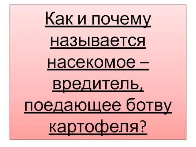 Как и почему называется насекомое – вредитель, поедающее ботву картофеля?