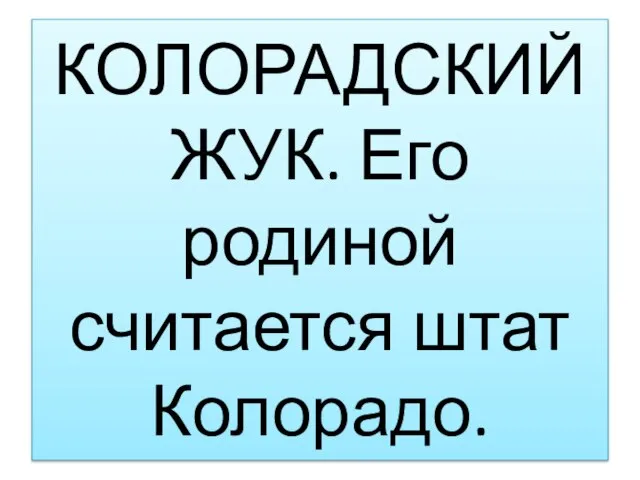 КОЛОРАДСКИЙ ЖУК. Его родиной считается штат Колорадо.