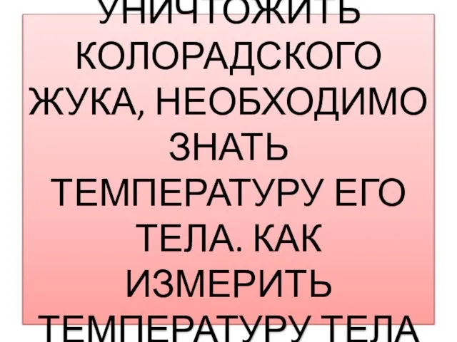 ЧТОБЫ УНИЧТОЖИТЬ КОЛОРАДСКОГО ЖУКА, НЕОБХОДИМО ЗНАТЬ ТЕМПЕРАТУРУ ЕГО ТЕЛА. КАК ИЗМЕРИТЬ ТЕМПЕРАТУРУ ТЕЛА ЖУКА?