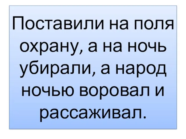 Поставили на поля охрану, а на ночь убирали, а народ ночью воровал и рассаживал.