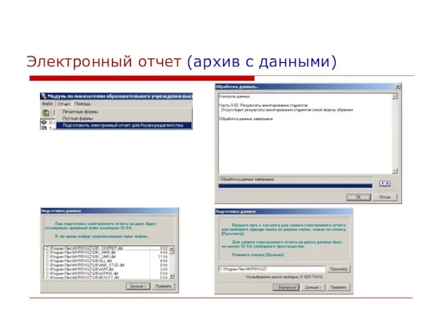 Электронный отчет (архив с данными)