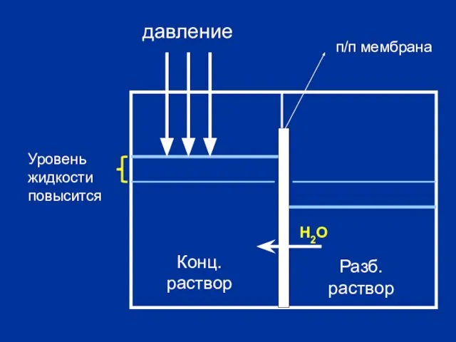 Конц. раствор Разб. раствор