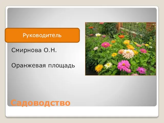 Садоводство Смирнова О.Н. Оранжевая площадь