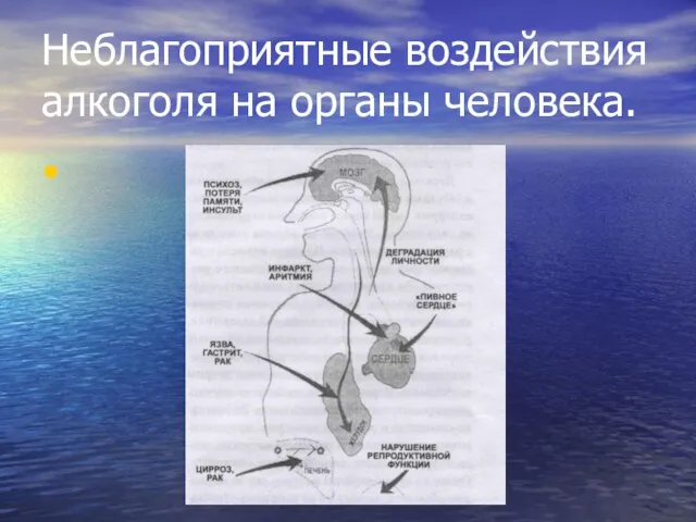 Неблагоприятные воздействия алкоголя на органы человека.