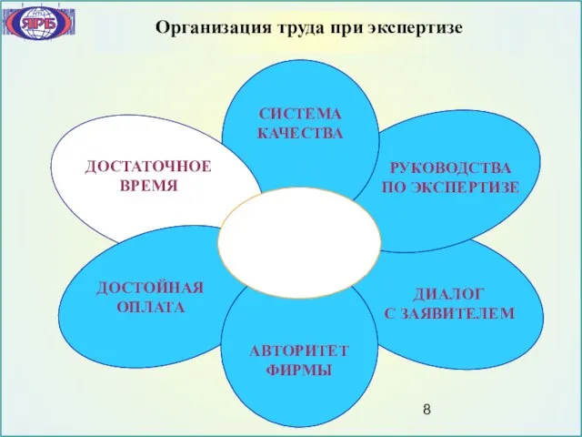 Организация труда при экспертизе