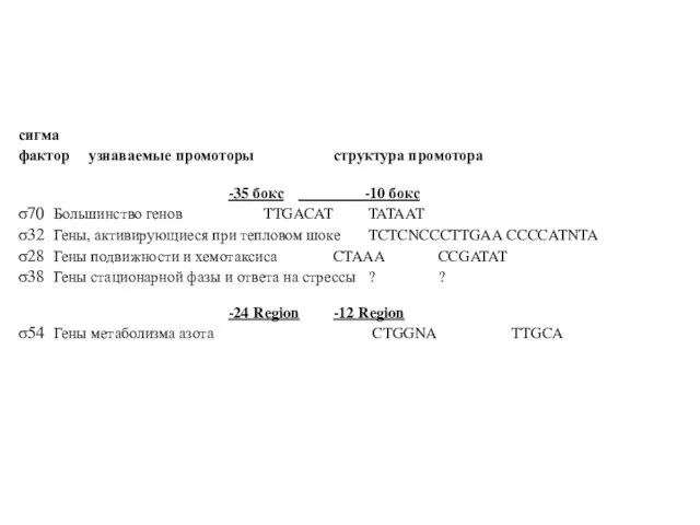 сигма фактор узнаваемые промоторы структура промотора -35 бокс -10 бокс σ70 Большинство