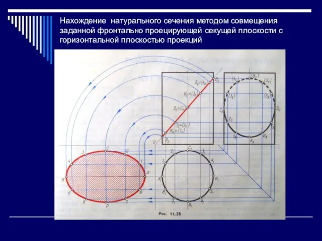 Нахождение натурального сечения методом совмещения заданной фронтально проецирующей секущей плоскости с горизонтальной плоскостью проекций