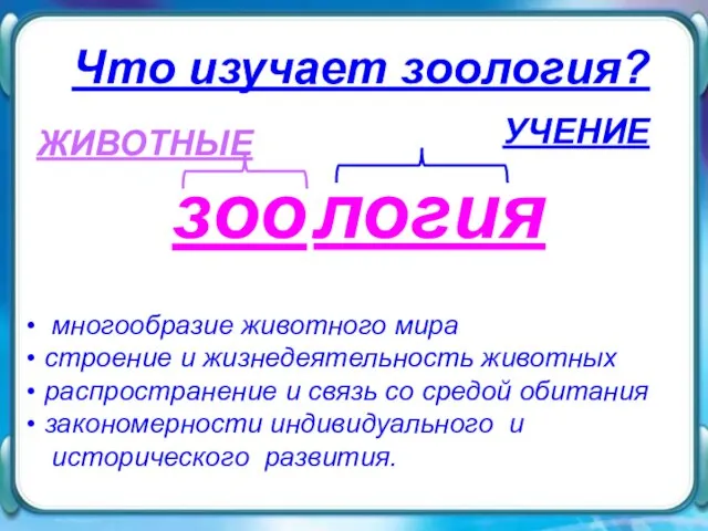 Что изучает зоология? Что изучает зоология? зоо ЖИВОТНЫЕ УЧЕНИЕ логия многообразие животного