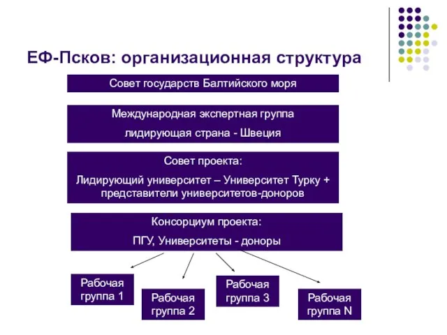 ЕФ-Псков: организационная структура Совет государств Балтийского моря Международная экспертная группа лидирующая страна