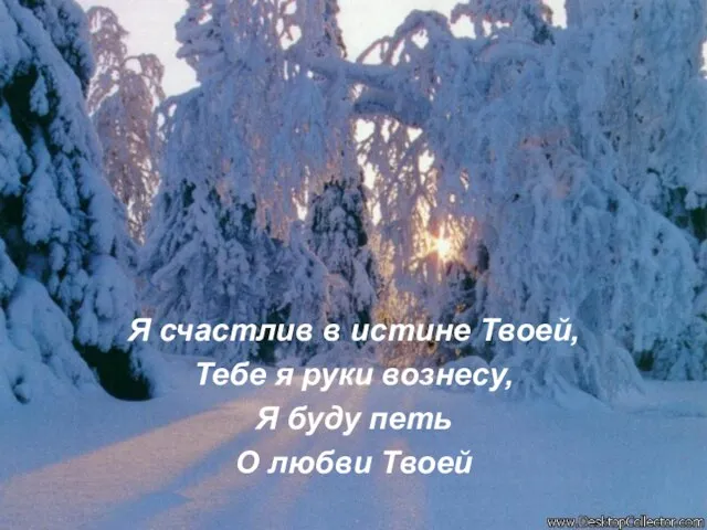 Я счастлив в истине Твоей, Тебе я руки вознесу, Я буду петь О любви Твоей