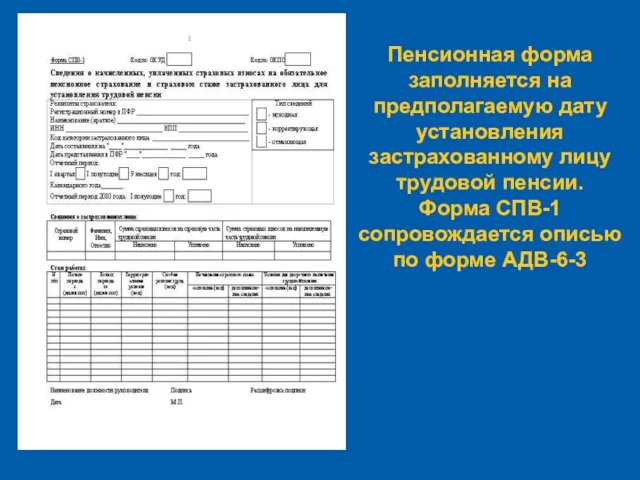 Пенсионная форма заполняется на предполагаемую дату установления застрахованному лицу трудовой пенсии. Форма