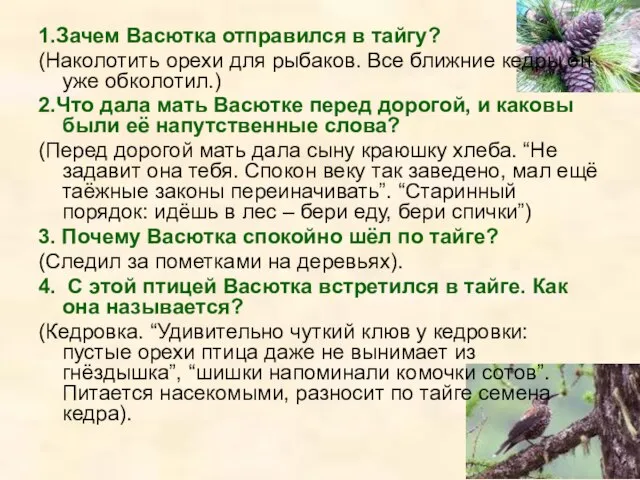 1.Зачем Васютка отправился в тайгу? (Наколотить орехи для рыбаков. Все ближние кедры