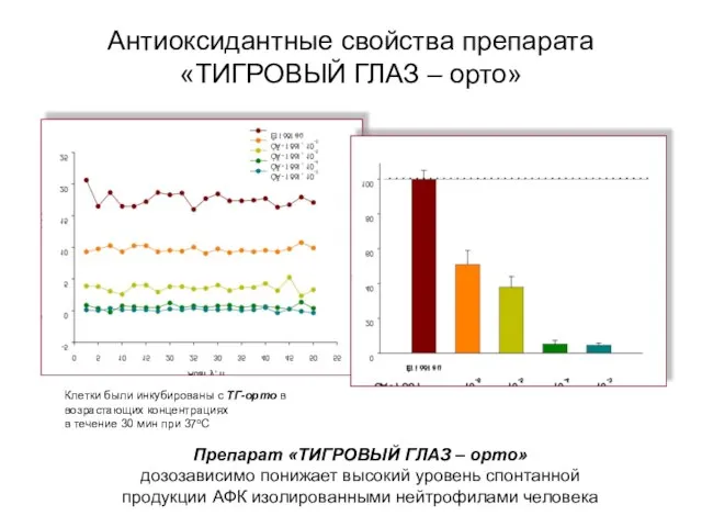 Антиоксидантные свойства препарата «ТИГРОВЫЙ ГЛАЗ – орто» Препарат «ТИГРОВЫЙ ГЛАЗ – орто»