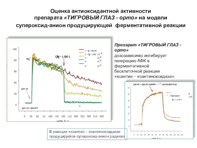 Оценка антиоксидантной активности препарата «ТИГРОВЫЙ ГЛАЗ - орто» на модели супероксид-анион продуцирующей