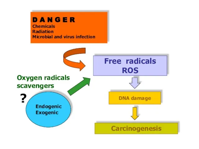 D A N G E R Chemicals Radiation Microbial and virus infection