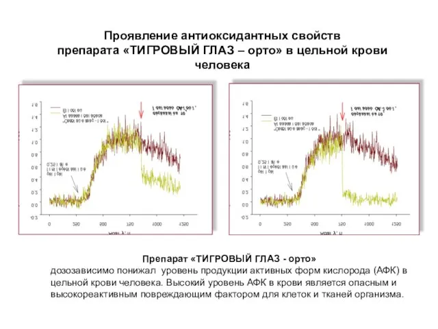 Препарат «ТИГРОВЫЙ ГЛАЗ - орто» дозозависимо понижал уровень продукции активных форм кислорода