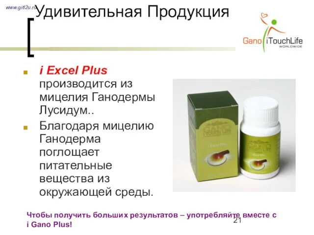 Удивительная Продукция i Excel Plus производится из мицелия Ганодермы Лусидум.. Благодаря мицелию