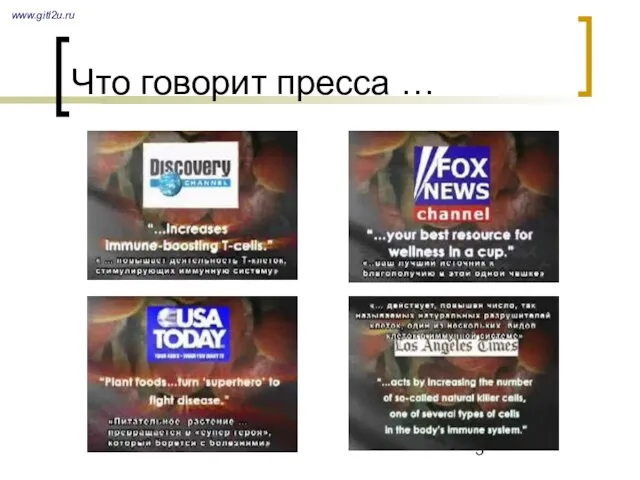 Что говорит пресса … www.gitl2u.ru