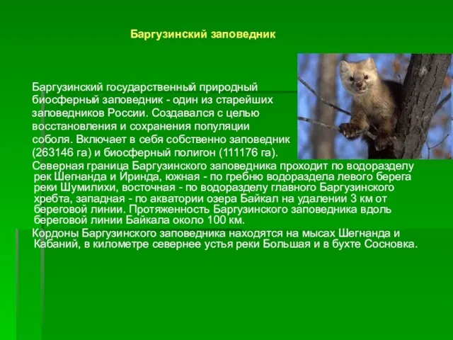 Баргузинский заповедник Баргузинский государственный природный биосферный заповедник - один из старейших заповедников