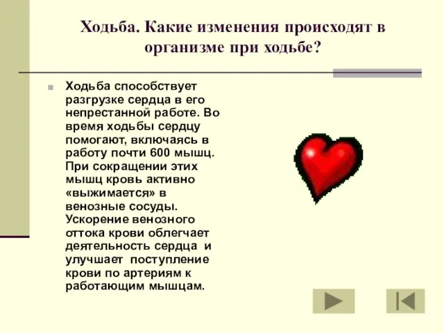 Ходьба. Какие изменения происходят в организме при ходьбе? Ходьба способствует разгрузке сердца