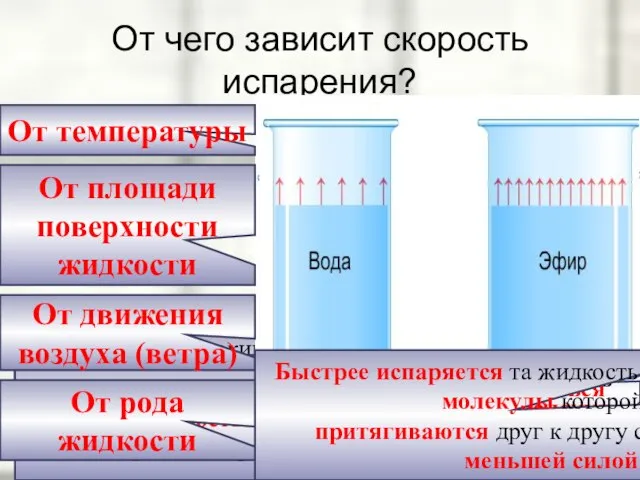 От чего зависит скорость испарения? Чем выше температура жидкости, тем больше скорость