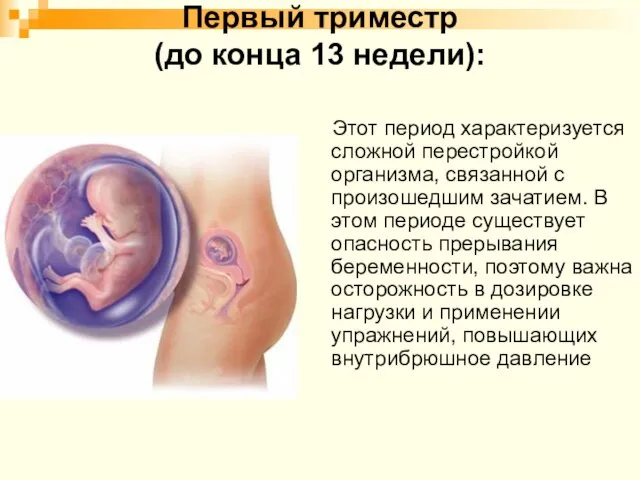 Первый триместр (до конца 13 недели): Этот период характеризуется сложной перестройкой организма,