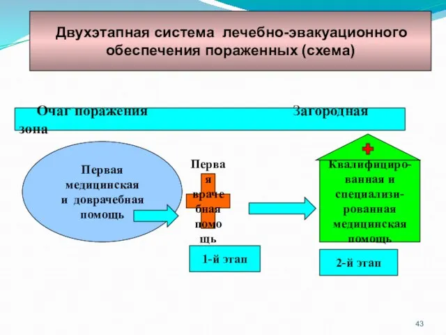 Первая медицинская и доврачебная помощь Первая врачебная помощь Квалифициро- ванная и специализи-