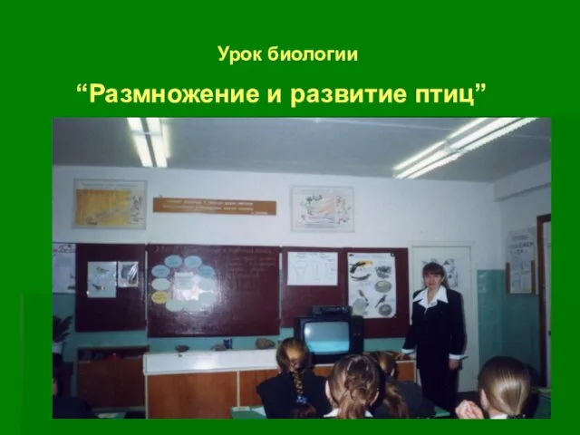 Урок биологии “Размножение и развитие птиц”