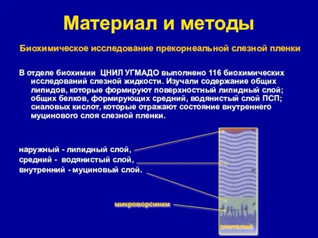 Материал и методы В отделе биохимии ЦНИЛ УГМАДО выполнено 116 биохимических исследований