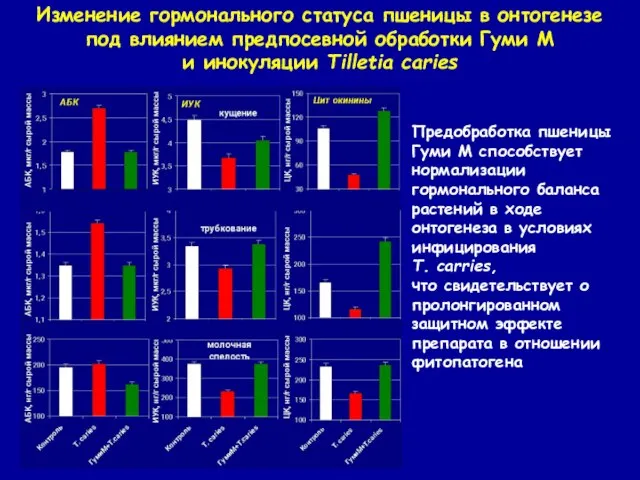 Изменение гормонального статуса пшеницы в онтогенезе под влиянием предпосевной обработки Гуми М