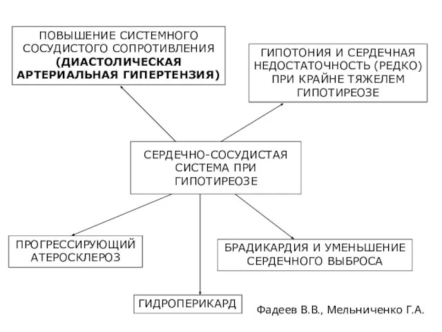 СЕРДЕЧНО-СОСУДИСТАЯ СИСТЕМА ПРИ ГИПОТИРЕОЗЕ ПРОГРЕССИРУЮЩИЙ АТЕРОСКЛЕРОЗ ГИДРОПЕРИКАРД БРАДИКАРДИЯ И УМЕНЬШЕНИЕ СЕРДЕЧНОГО ВЫБРОСА