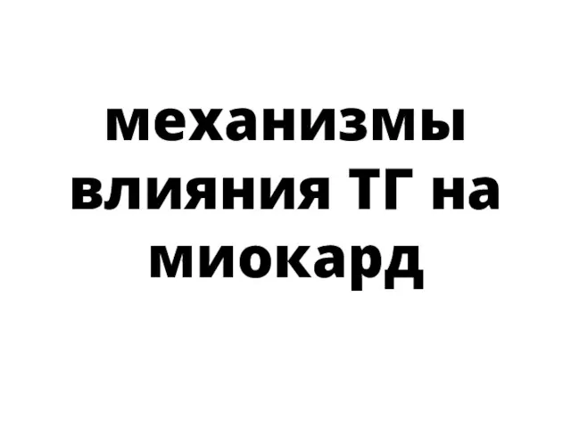 механизмы влияния ТГ на миокард