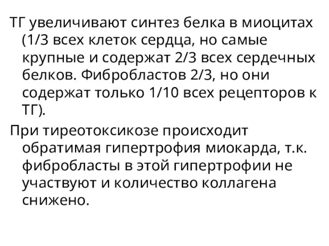 ТГ увеличивают синтез белка в миоцитах (1/3 всех клеток сердца, но самые