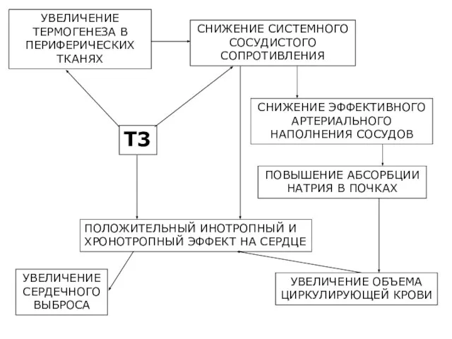 УВЕЛИЧЕНИЕ ТЕРМОГЕНЕЗА В ПЕРИФЕРИЧЕСКИХ ТКАНЯХ СНИЖЕНИЕ СИСТЕМНОГО СОСУДИСТОГО СОПРОТИВЛЕНИЯ Т3 СНИЖЕНИЕ ЭФФЕКТИВНОГО