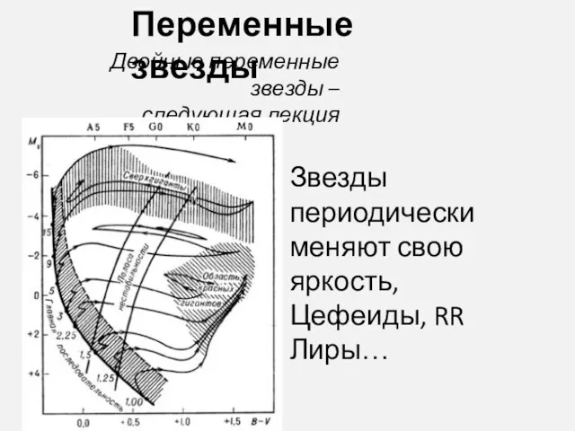 Переменные звезды Двойные переменные звезды – следующая лекция Звезды периодически меняют свою яркость, Цефеиды, RR Лиры…