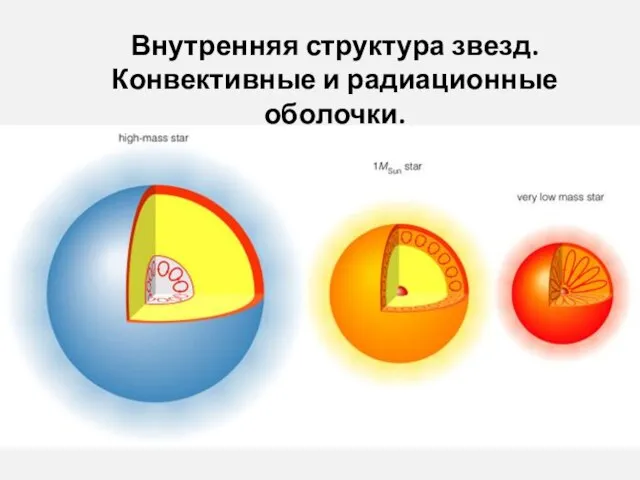 Внутренняя структура звезд. Конвективные и радиационные оболочки.