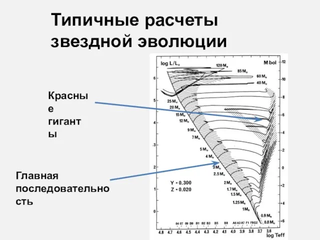 Типичные расчеты звездной эволюции Главная последовательность Красные гиганты