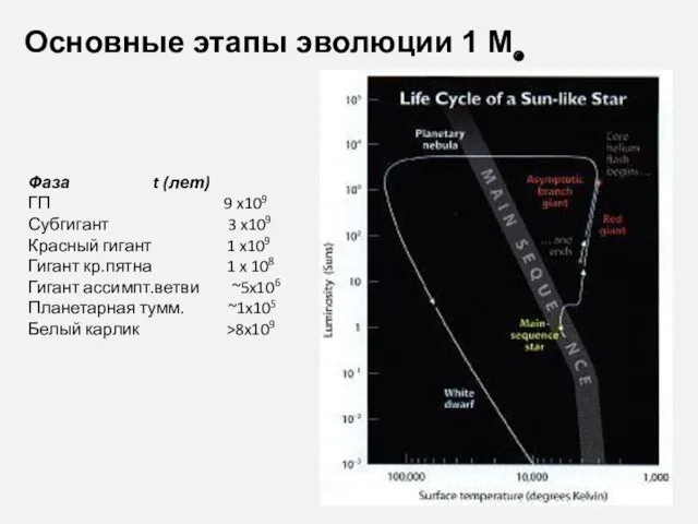 Основные этапы эволюции 1 M◉ Фаза t (лет) ГП 9 x109 Субгигант