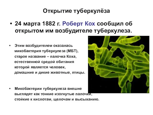 Открытие туберкулёза 24 марта 1882 г. Роберт Кох сообщил об открытом им