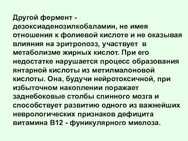 Другой фермент - дезоксиаденозилкобаламин, не имея отношения к фолиевой кислоте и не