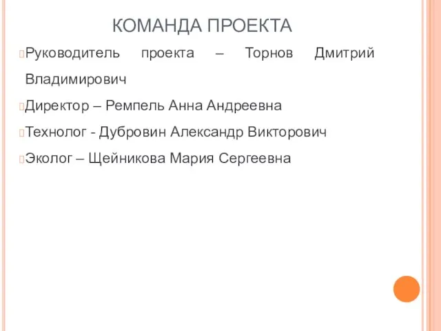 КОМАНДА ПРОЕКТА Руководитель проекта – Торнов Дмитрий Владимирович Директор – Ремпель Анна