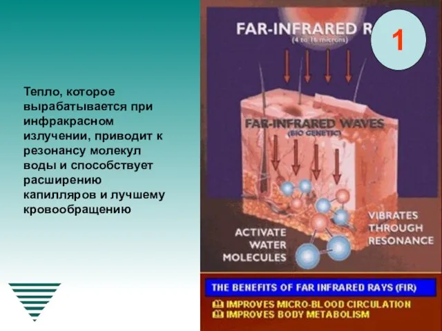 Тепло, которое вырабатывается при инфракрасном излучении, приводит к резонансу молекул воды и