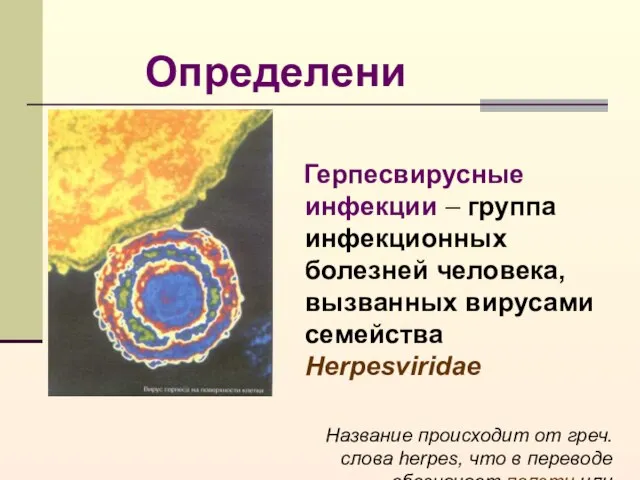 Герпесвирусные инфекции – группа инфекционных болезней человека, вызванных вирусами семейства Herpesviridae Название