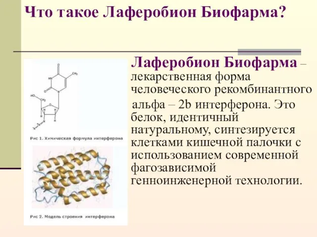 Что такое Лаферобион Биофарма? Лаферобион Биофарма – лекарственная форма человеческого рекомбинантного альфа